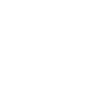 A Dolphin Logo